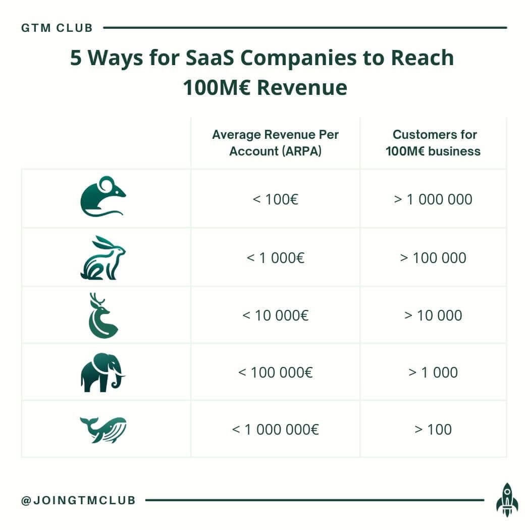 5 Ways SaaS Companies to Build 100€M Revenue