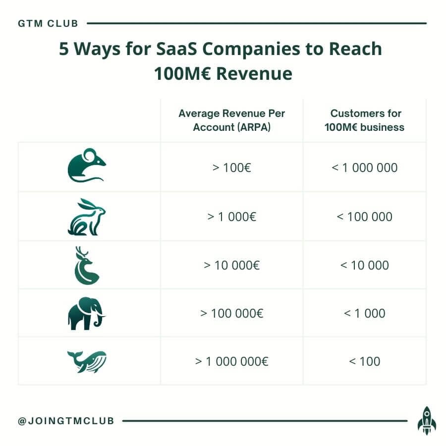 5 Ways SaaS Companies to Build 100€M Revenue